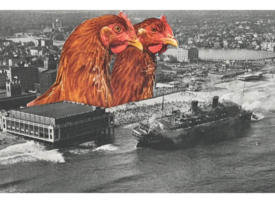 Carl Nesensohn, Morro Castle Aground, 1934