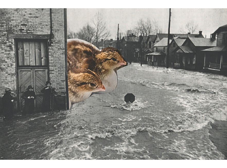 Ohio River flood, 1937