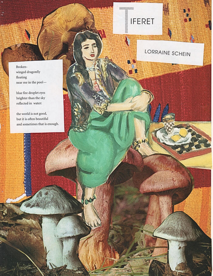 Tiferet by Lorraine Schein