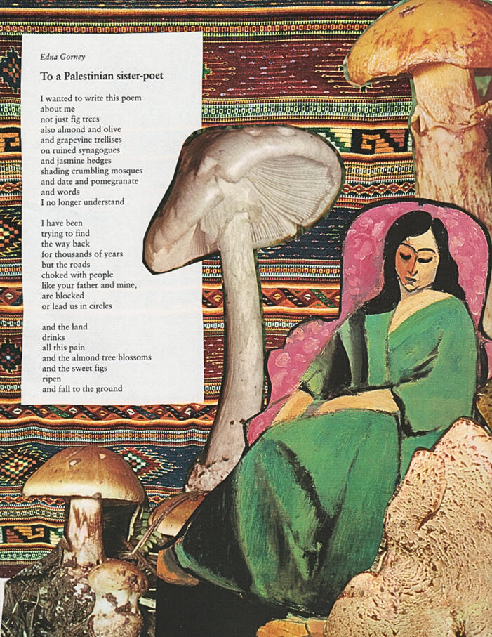 To a Palestinian sister-poet by Edna Gorney